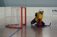 /album/hpm-vs-uvp-12-aprile/a12-img-4176-jpg/