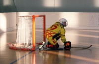 /album/hpm-vs-uvp-12-aprile/a37-img-4273-jpg/